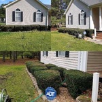 Bush trimming & Weed removal