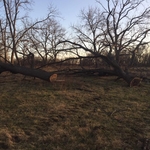 Ozark Mountain Logging