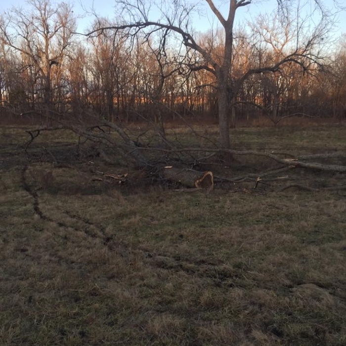 Ozark Mountain Logging
