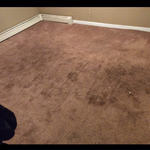 Carpet Before