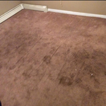 Carpet Before