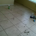 Deep Cleaning