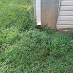 Gutters....