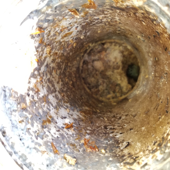 98 %sewer pipe clogged