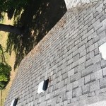 Moss and Mold Before