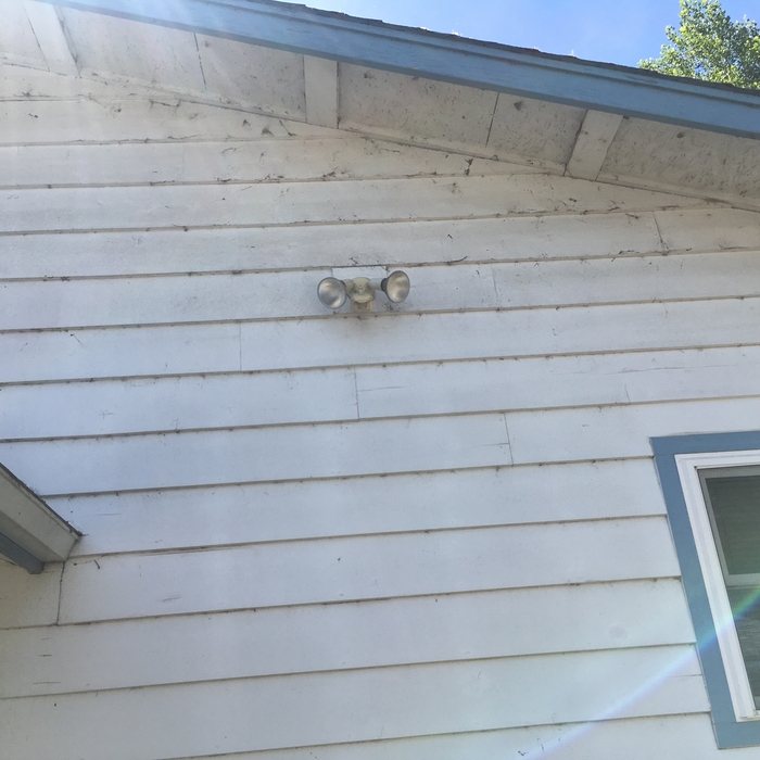 Cob Web removal