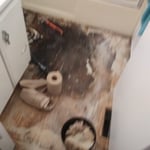 Bathroom wall and floor d