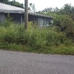 Fall Clean Up/ Mantain Landscape