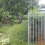 Fall Clean Up/ Mantain Landscape