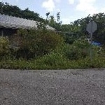 Fall Clean Up/ Mantain Landscape