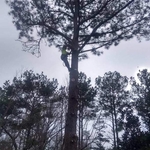 Climbing
