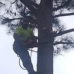 Climbing
