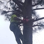 Climbing