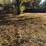 leaf clean up
