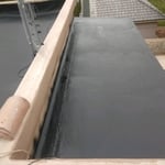 Top rear roof...over master BR