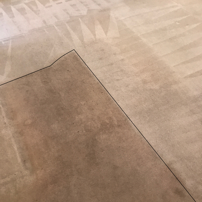 Family room carpet