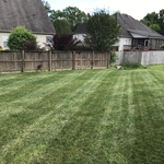 Lawn Care