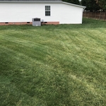 Lawn Care