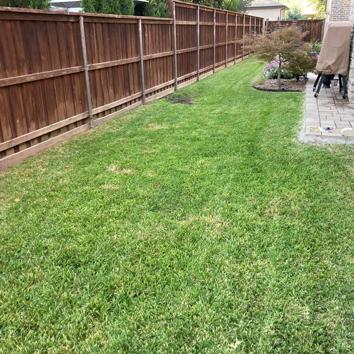 Patio Extension