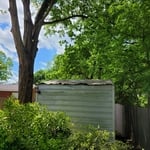 Tree removal