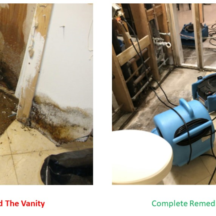 Remediation-Master Bath