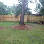 Completed Fence