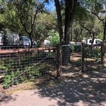 Garden Fences