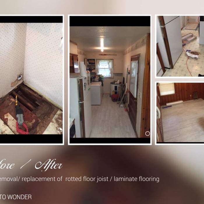 mold removal/ Flooring