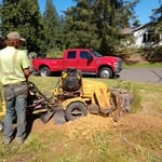 large stump removal