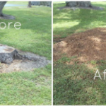 before an after