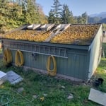 Elwha Greenhouse