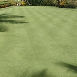 Natural turf putting gree