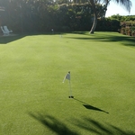 Natural seashore turf putting green