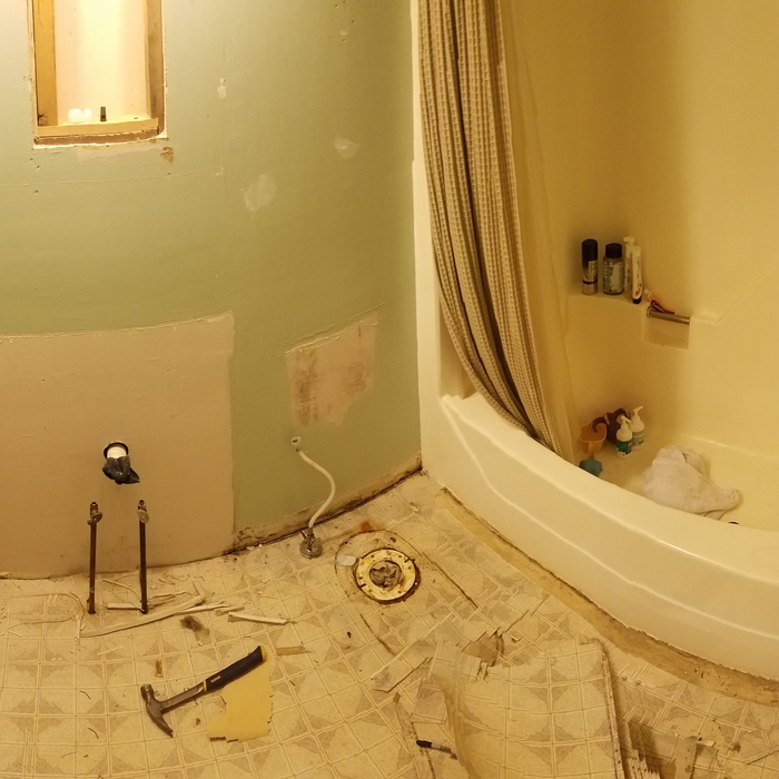 Bathroom Gut