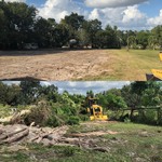 Land Clearing