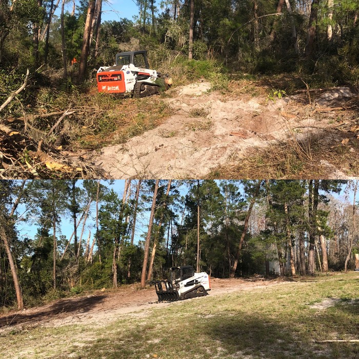 Land Clearing