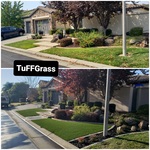 Before & After Photos