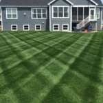 Lawn