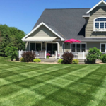 Lawn