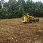 Forestry Mulching