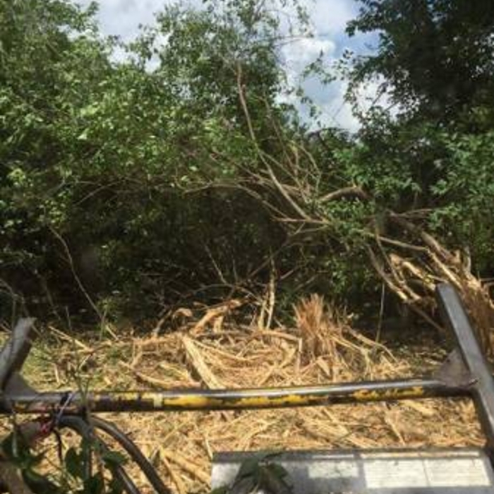 Forestry Mulching