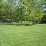 lawn