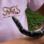 Snake relocation