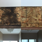 Our work