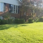 Landscape Before