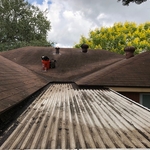 elastomeric roof coating