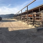 Custom barn gates