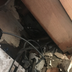 Mold and debris
