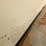 mold mold mold
