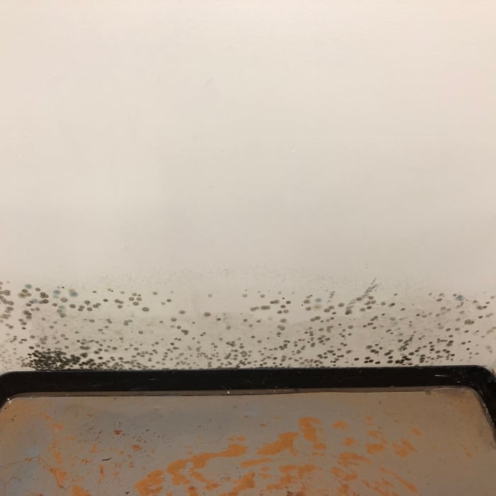 Moldy wall